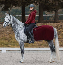 Load image into Gallery viewer, KIEL FLEECE BACK RIDING RUG
