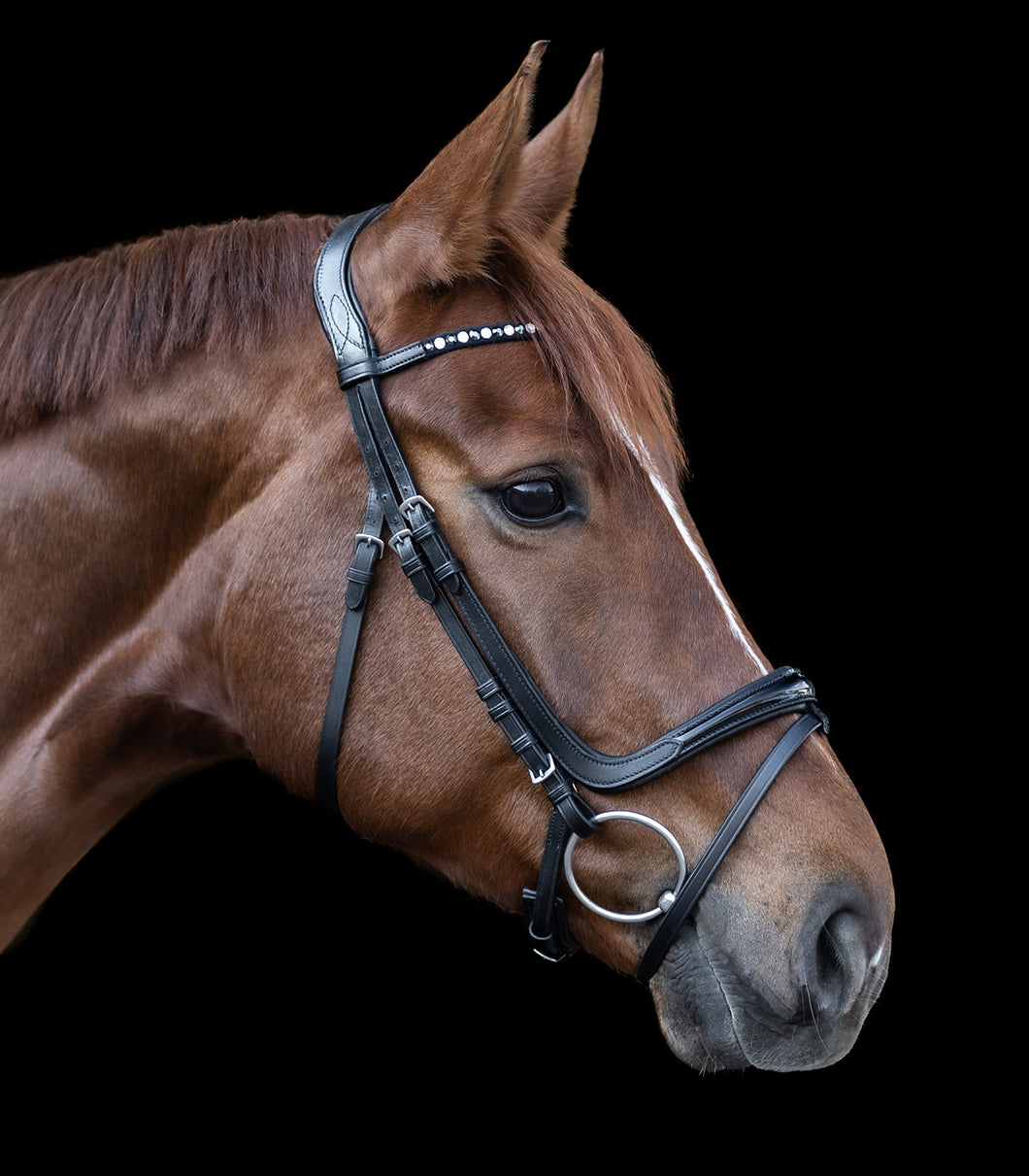 X- LINE FREEDOM BRIDLE