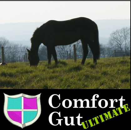 Comfort Gut Ultimate