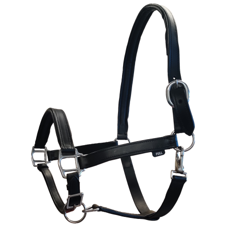 Buxton Padded Leather Headcollar with Clip