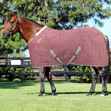 Load image into Gallery viewer, Horses Quazar Velvet Stable Rug 300g
