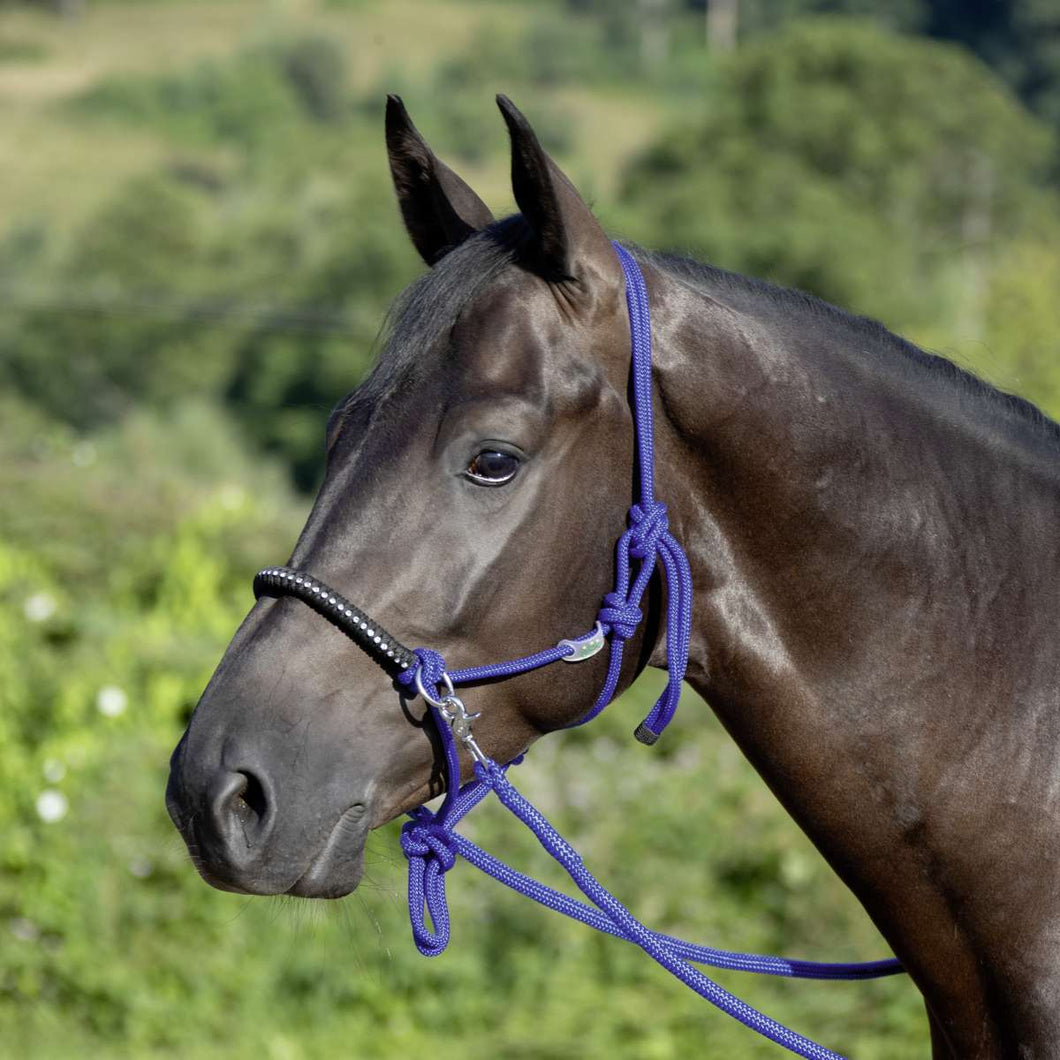 USG KNOTTED ROPE HALTER WITH REINS