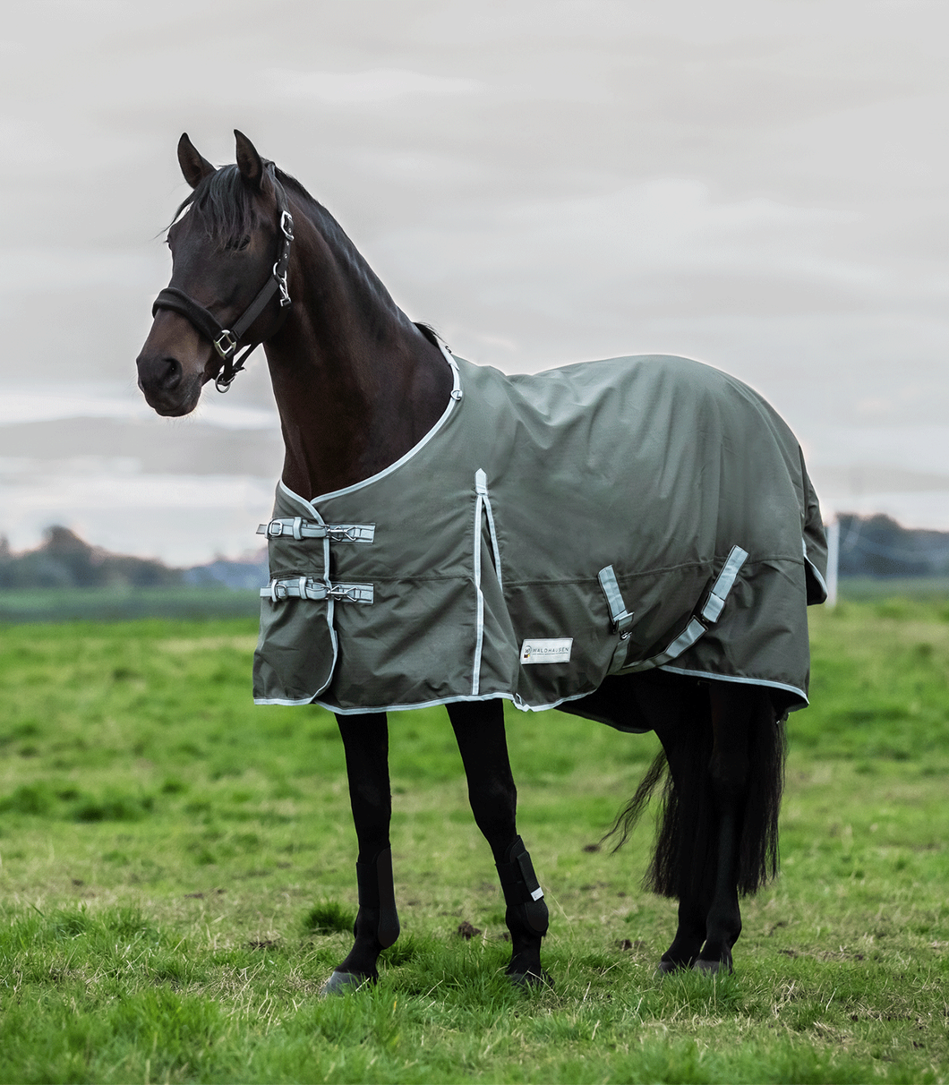 WA 100G Standard neck Turnout Rug with clip In system