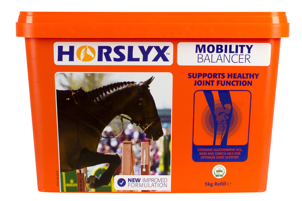 HORSLYX MOBILITY BALANCER LICK - 5 KG and 15KG