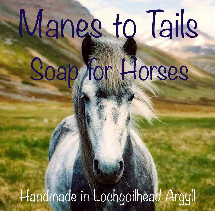 The Purple house Manes To Tails soap for horses