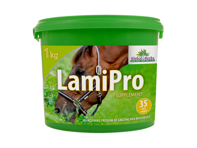global herbs lamipro powder
